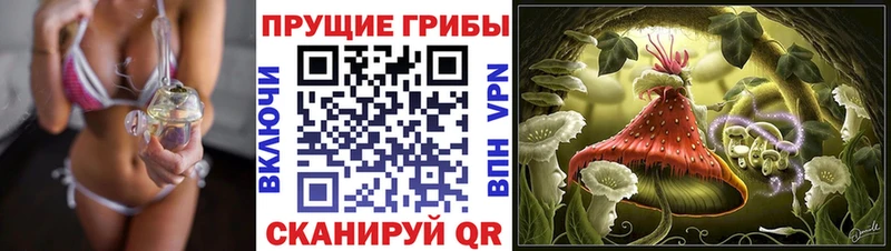 Галлюциногенные грибы ЛСД  Татарск 
